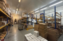 À vendre   Bâtiment d’activité équipé froid 350 m2