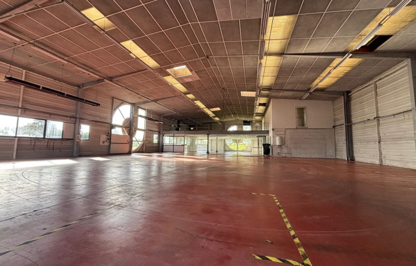 photo_68be564d029ab116ff0617134a17e571