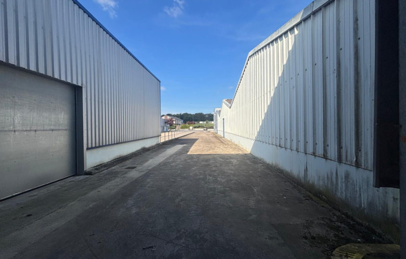 photo_d08b459f2fbe1e49d91df8bfbe788bba