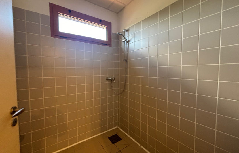 photo_991c440588a55ec8a6a9bc403379dee0