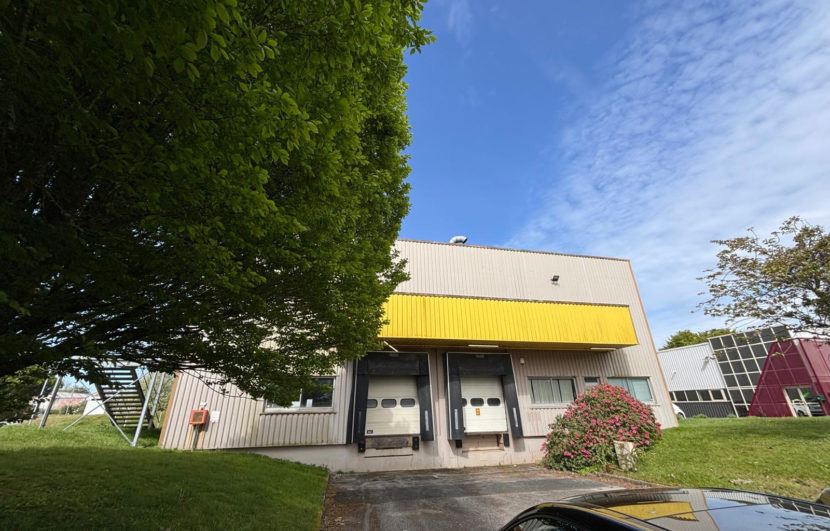 photo_4723fb81629a1f52fe7f397b1a8b4460