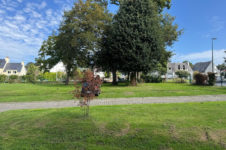 photo_b454928348b0d0f13d53d913400fe6b7