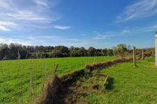 photo_917ffe49240b23b54fe4c7a2bb9ed5c5