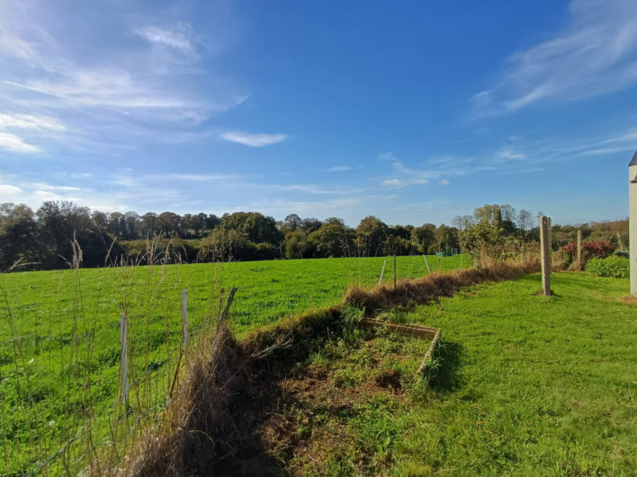 photo_917ffe49240b23b54fe4c7a2bb9ed5c5