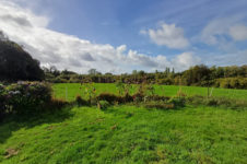 photo_c2188d18e6fd976031002d3ad489ef52