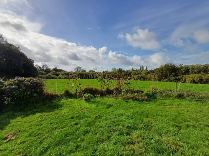 photo_c2188d18e6fd976031002d3ad489ef52