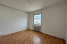 photo_0122f68f69731b34a8d5beb1163bdf55