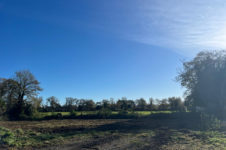 photo_122ccd6ad975dedff246cbcbc11bab75