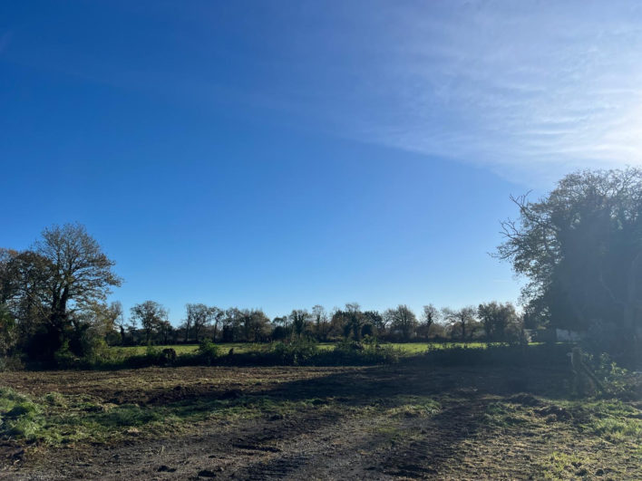 photo_122ccd6ad975dedff246cbcbc11bab75