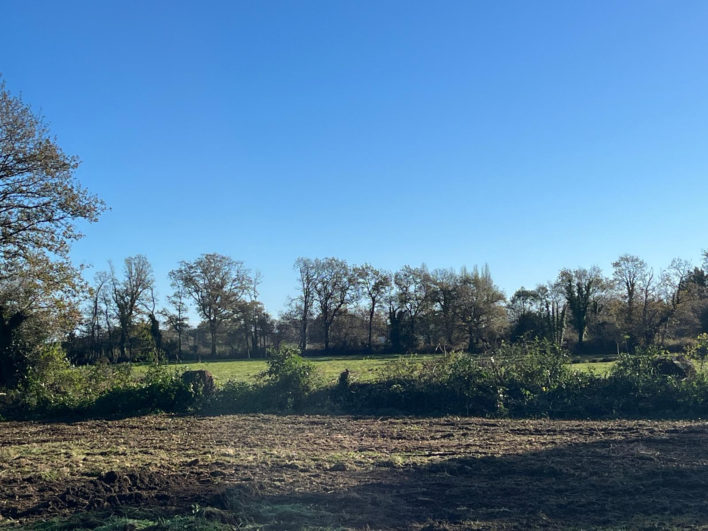 photo_ae3b3dd53a45e0c3ec3dc4f2f59f3cb5