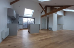 Appartement type 3 hyper-centre