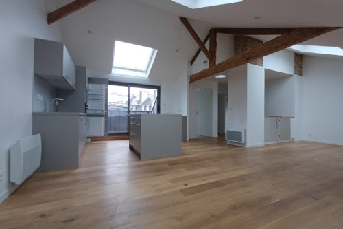 Appartement type 3 hyper-centre