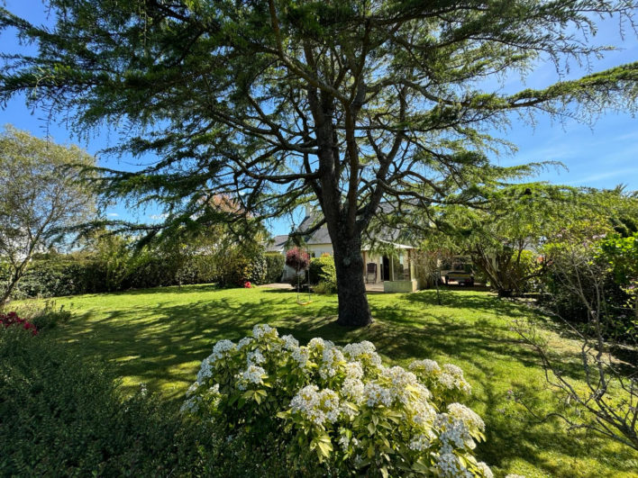 photo_3da8e44b9d353331e0d2c5d21d93f05b