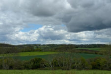 photo_4611b0ec76ff0627e33c50720604b267