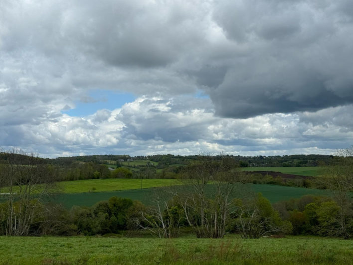 photo_4611b0ec76ff0627e33c50720604b267