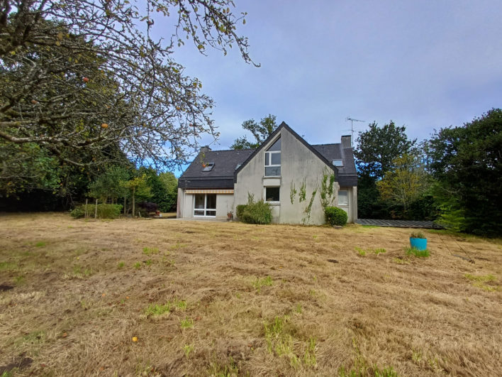 photo_41ef39d371ab2de655827ad82b8bcef0