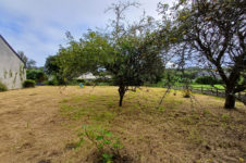 photo_4d8f10cee9948c39d8e42661c8f4cd37