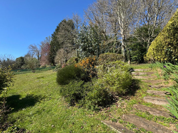 photo_8c95a5e7274d435cba8851b8a675d5f5