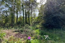 photo_032c372aba04fc48f39b45a8ce141f6e