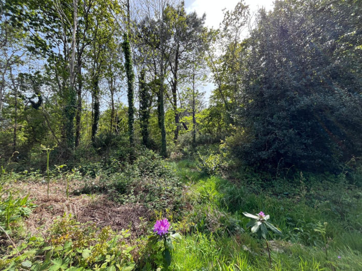 photo_032c372aba04fc48f39b45a8ce141f6e