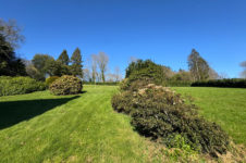 photo_bef84b22ff9400891e6e03a326b090d4