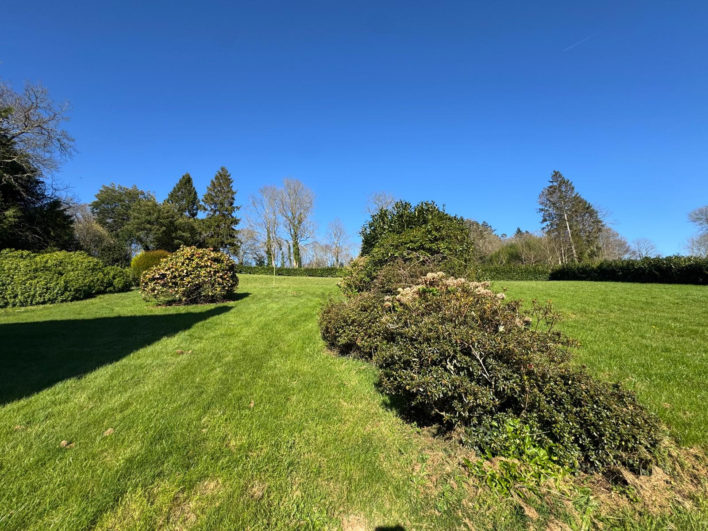 photo_bef84b22ff9400891e6e03a326b090d4