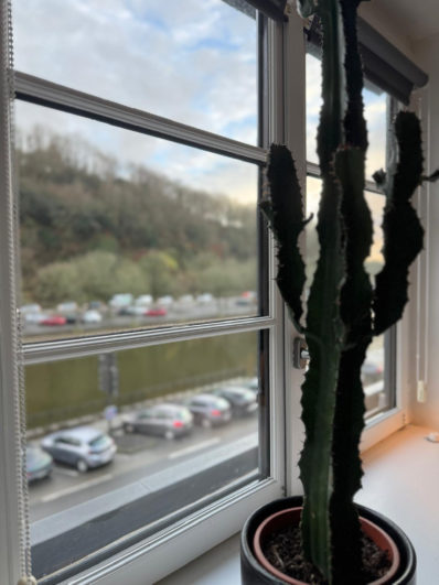 photo_bfa8534a173ffcacada692992cf73f91